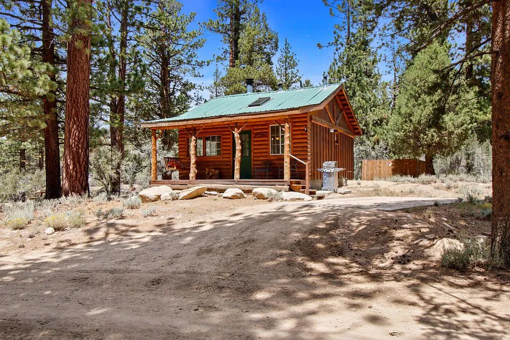 Wild Rose cabin: log siding, green metal roof and a full width covered porch in the pines